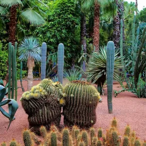 Explore Customized Private 9 Days Morocco Beach Holiday, Daily Starts & Private Car for 9 days with Agate Travel and discover unforgettable experiences - Photo 4