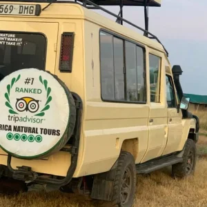 Explore The Most Affordable 3 Days, 2 Nights Maasai Mara Group Budget Safari in Kenya for 3 days with Africa Natural Tours and discover unforgettable experiences - Photo 3