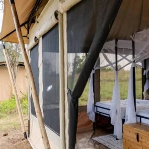 Explore Discover The World-class 3-Day Tanzania Safari From Zanzibar (Fly In - Fly Out) for 3 days with Africa Natural Tours and discover unforgettable experiences - Photo 5