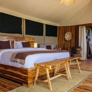 Explore Discover The World-class 3-Day Tanzania Safari From Zanzibar (Fly In - Fly Out) for 3 days with Africa Natural Tours and discover unforgettable experiences - Photo 6