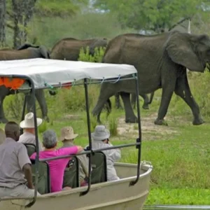 Explore The Best 2-Day Fly-In Selous (Nyerere) Safari from Zanzibar, Boat Safari & Maasai Village Visit – Led by Our Local Expert Guide for 2 days with Africa Natural Tours and discover unforgettable experiences - Photo 4