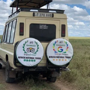 Explore 9 Days Tanzania Budget Group Safari Tour from Moshi – Your Complete Travel Guide for 9 days with Africa Natural Tours and discover unforgettable experiences - Photo 10