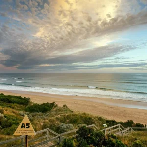 Explore Phillip Island Penguin Tour with Koala Conservation Experience for 1 days with Autopia Tours and discover unforgettable experiences - Photo 2