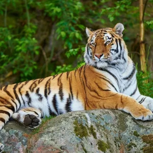 Explore 8 Days Golden Triangle Tour with Ranthambore Tiger Safari for 8 days with Sejwal Holidays and discover unforgettable experiences - Photo 11