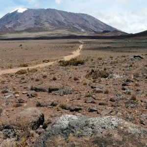 Explore Mount Kilimanjaro day hike tour for 1 days with Afrishare Trekking And Safaris and discover unforgettable experiences - Photo 2