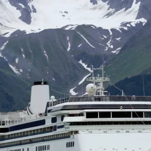 Explore Alaska: Ocean Wildlife to Interior Wilderness Adventure - 9 Days for 9 days with BrushBuck Wildlife Tours and discover unforgettable experiences - Photo 7