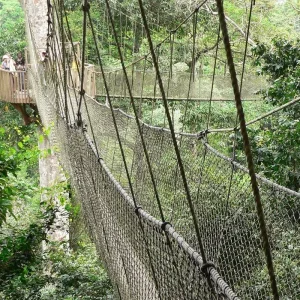 Explore Ghana 8 Day Special for 8 days with Continent Tours and discover unforgettable experiences - Photo 4