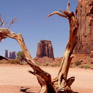 Explore Highlights of the Canyonlands for 7 days with Cosmos and discover unforgettable experiences - Photo 3