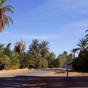 Explore Private 5 days  from Casablanca to Marrakech Visiting Chefchaouen, Fes & desert for 5 days with Cultural Morocco Tours and discover unforgettable experiences - Photo 2