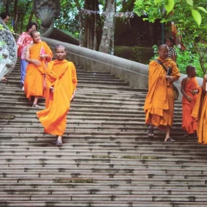 Explore Cambodia Family Holiday from Phnom Penh to Siemreap, Angkor Wat for 5 days with DNQ Travel and discover unforgettable experiences - Photo 5