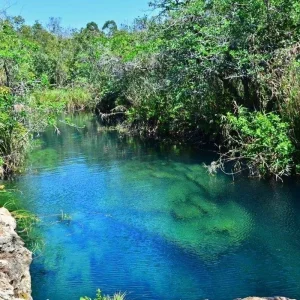 Explore Wonders of the Maya for 8 days with Destination Services Mexico and discover unforgettable experiences - Photo 2