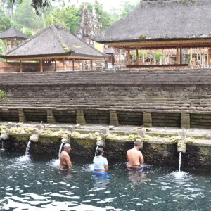 Explore 7 Days Explore Bali and Nusa Penida for 7 days with Diwira Wisata Indonesia and discover unforgettable experiences - Photo 5