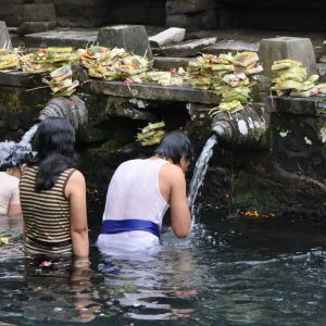 Explore 7 Days Explore Bali and Nusa Penida for 7 days with Diwira Wisata Indonesia and discover unforgettable experiences - Photo 6