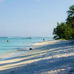 Explore Maldives Uncovered for 8 days with Encounters Travel and discover unforgettable experiences - Photo 5