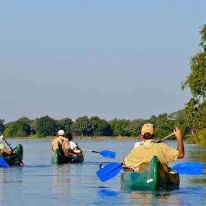 Explore Zambezi Canoe Safari for 8 days with Exodus Adventure Travels and discover unforgettable experiences - Photo 11