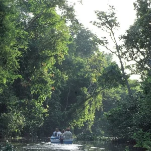 Explore Borneo Wildlife Discoverer for 15 days with Exodus Adventure Travels and discover unforgettable experiences - Photo 10