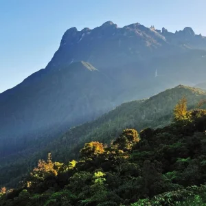 Explore Borneo Wildlife Discoverer for 15 days with Exodus Adventure Travels and discover unforgettable experiences - Photo 11