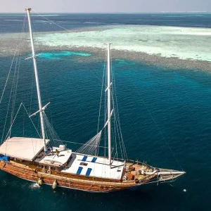 Explore Marine Wildlife of the Maldives for 7 days with Exodus Adventure Travels and discover unforgettable experiences - Photo 5