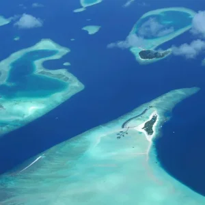 Explore Marine Wildlife of the Maldives for 7 days with Exodus Adventure Travels and discover unforgettable experiences - Photo 8