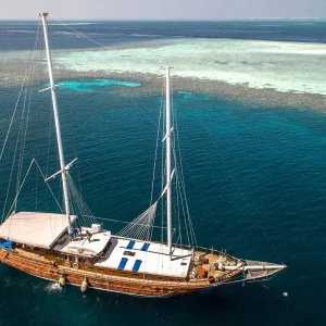 Explore Marine Wildlife of the Maldives for 7 days with Exodus Adventure Travels and discover unforgettable experiences - Photo 9