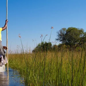 Explore Botswana & Zimbabwe Lodge Safari for 14 days with Exodus Adventure Travels and discover unforgettable experiences - Photo 3