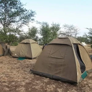 Explore 5 Days Tanzania Private Camping Safari for 5 days with Exodus African Safari and discover unforgettable experiences - Photo 2