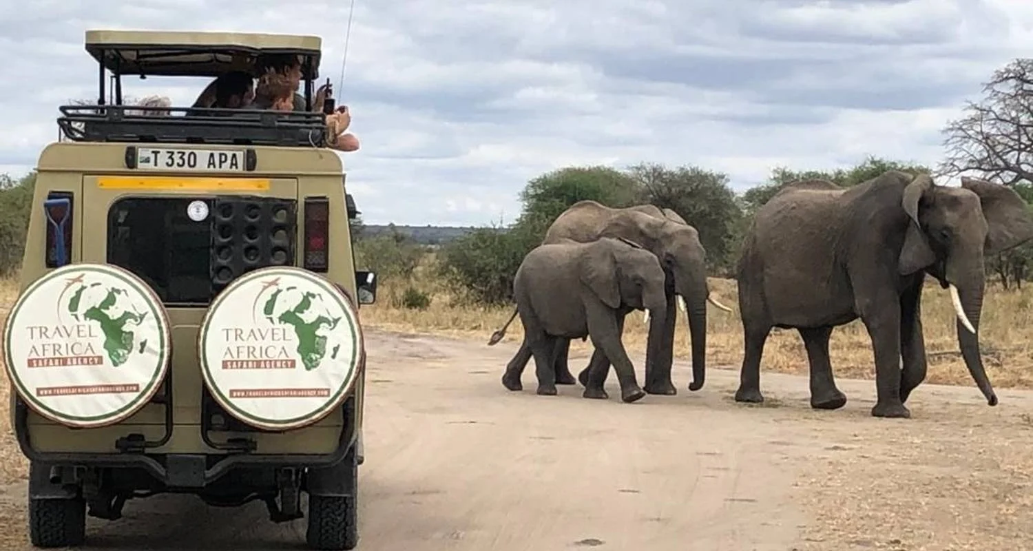 Explore 5 Days Private Midrange Safari with two nights in Serengeti for 5 days with  Travel Africa Safari Agency and discover unforgettable experiences - Photo 2