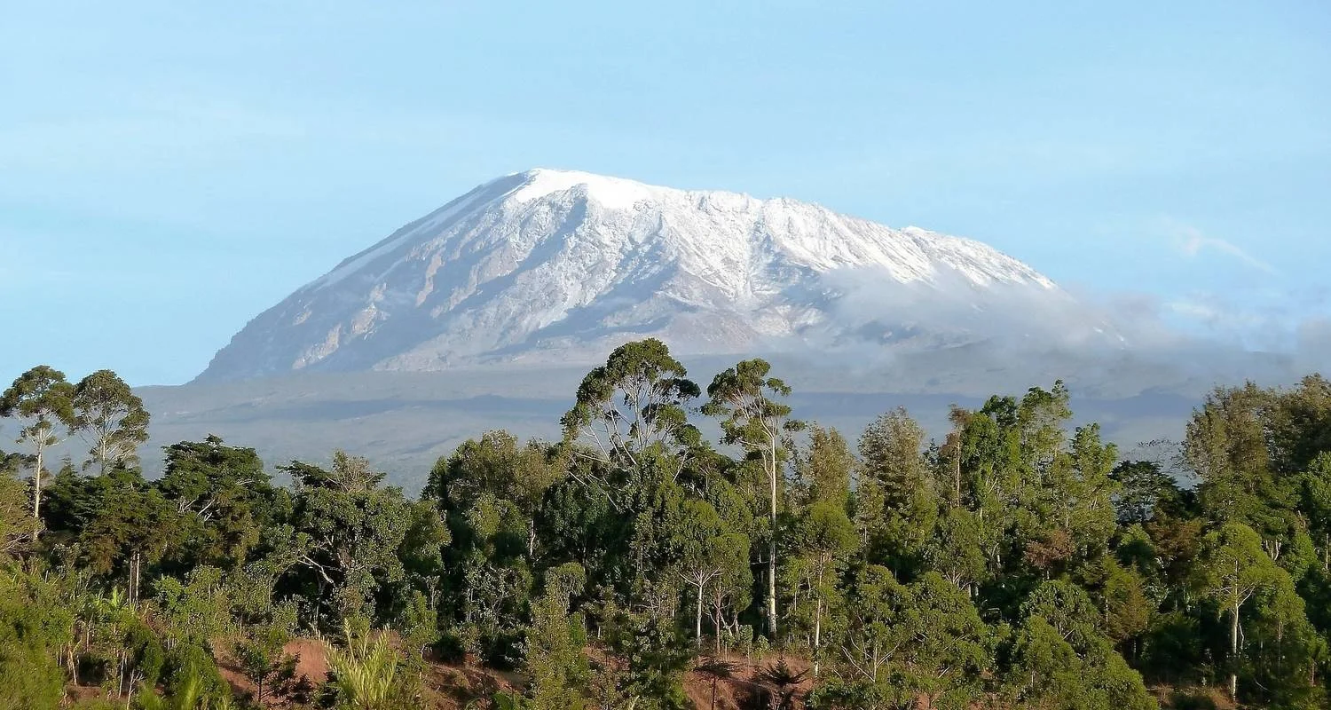 Explore 7 Days Mount Kilimanjaro Rongai Route Climb for 7 days with  Travel Africa Safari Agency and discover unforgettable experiences - Photo 2