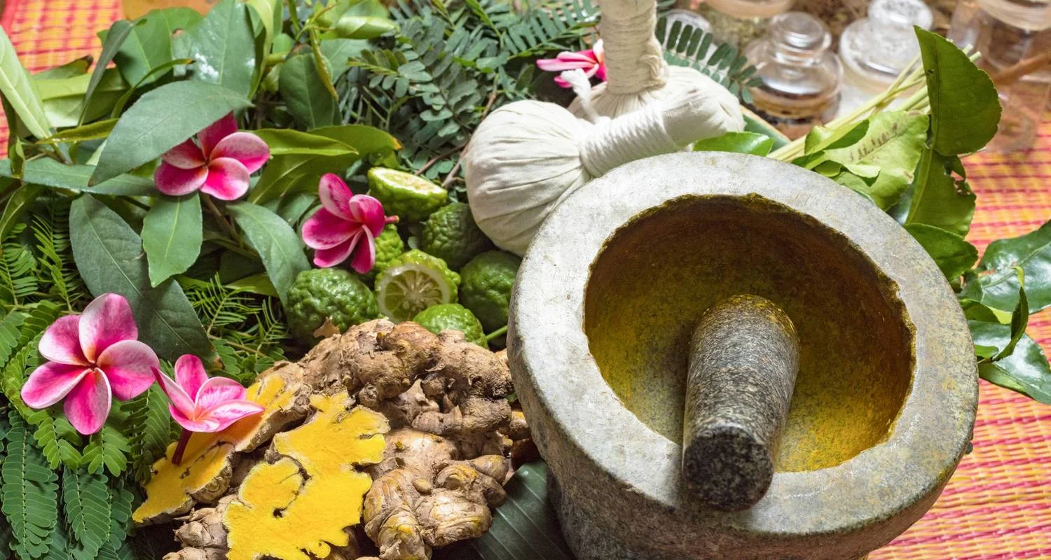 Explore Kerala Heritage Odyssey (8 Nights 9 Days) for 9 days with  Taj Voyages Tours  and discover unforgettable experiences - Photo 2