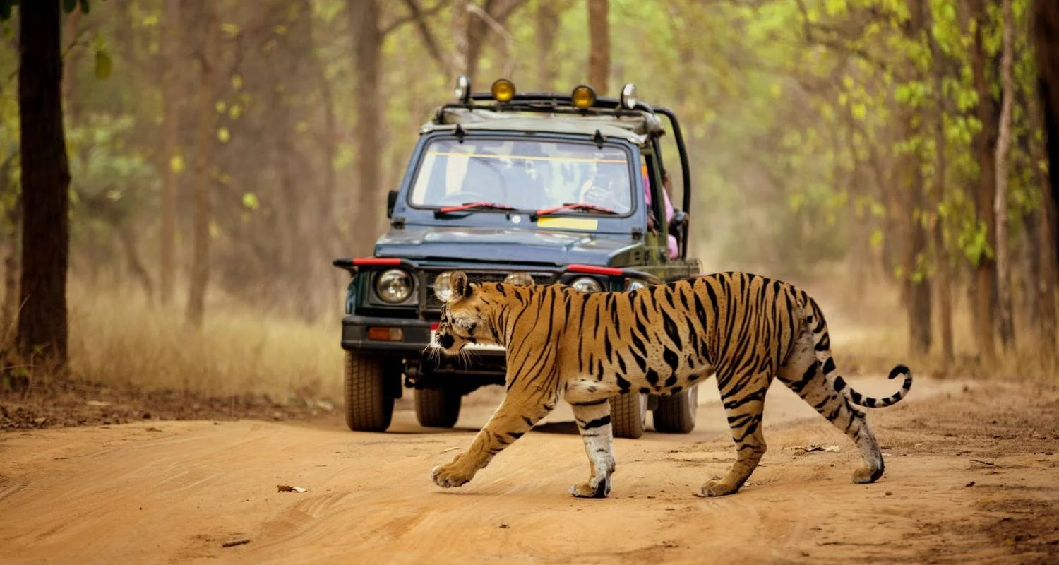 Explore Golden Triangle Tour with Ranthambore Tiger safari  & Varanasi!! for 7 days with  Taj Voyages Tours  and discover unforgettable experiences - Photo 2