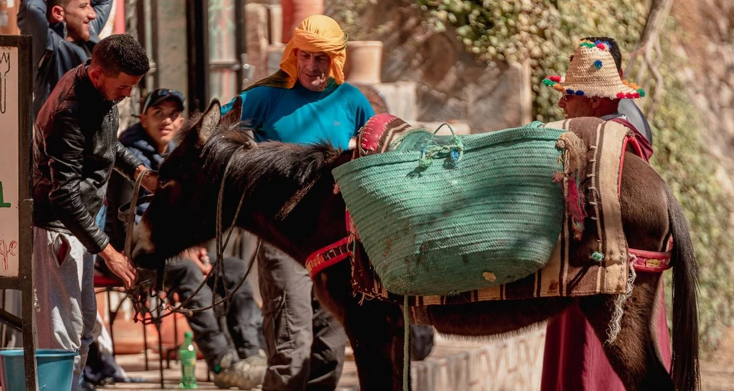 Explore 6 -Day VALLEY ATLAS & Mt Toubkal Ascent for 6 days with  Amazigh Voyage and discover unforgettable experiences - Photo 2