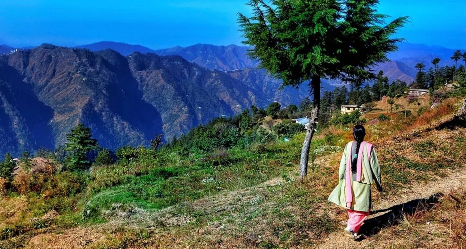 Explore 7 Nights / 8 Days - Shimla Manali Kullu Tour for 8 days with 707 Tours and discover unforgettable experiences - Photo 2