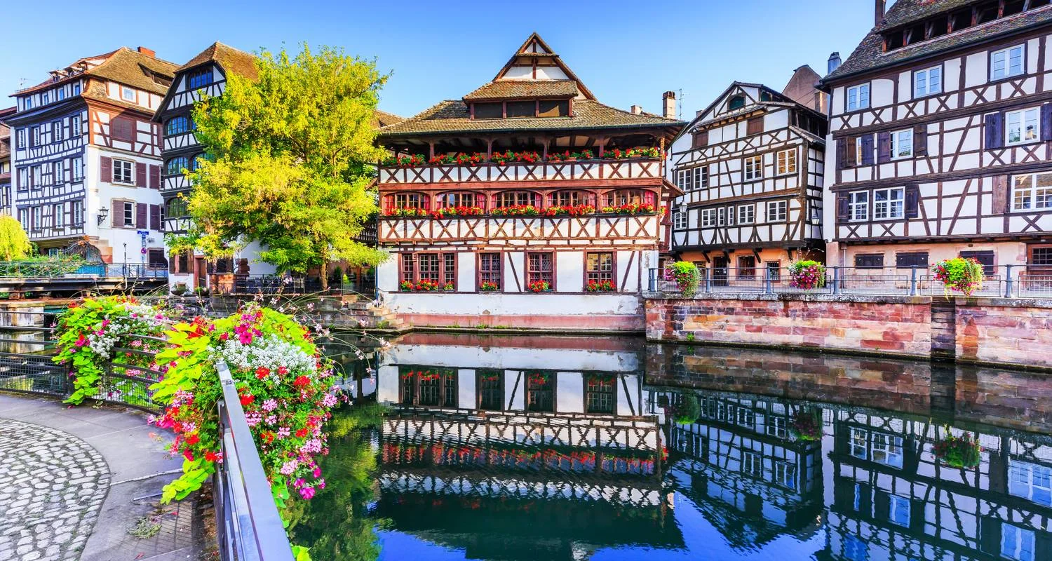 Explore Southern Rhine Experience 2026 for 8 days with A-ROSA and discover unforgettable experiences - Photo 2