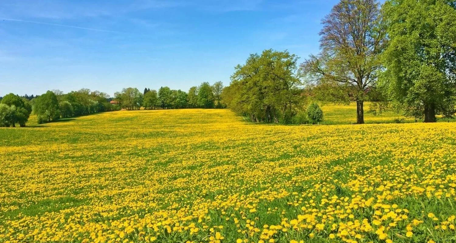 Explore Munich Lakes Tour 5 Days for 5 days with ASI Reisen and discover unforgettable experiences - Photo 2