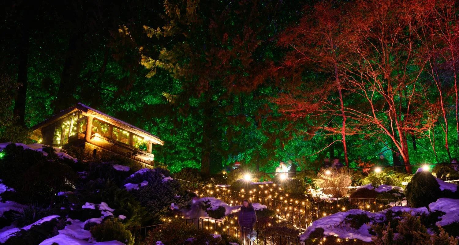 Explore Castles and Festive Winter Wonderland Victoria → Calgary (2026) for 14 days with APT and discover unforgettable experiences - Photo 2