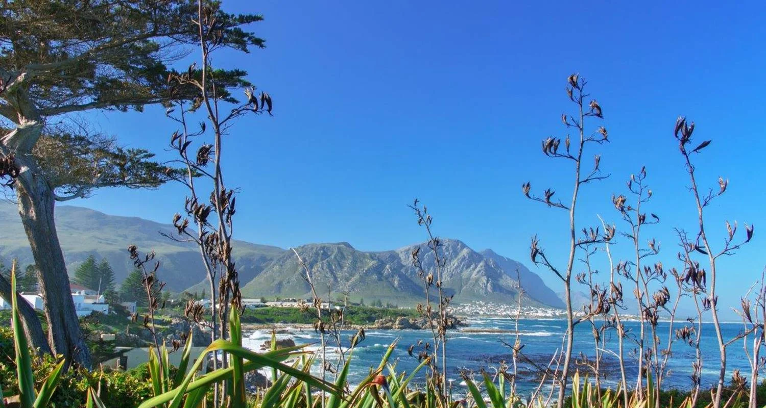 Explore Cape Town, Garden Route and Eastern Cape for 12 days with ATC Group and discover unforgettable experiences - Photo 2