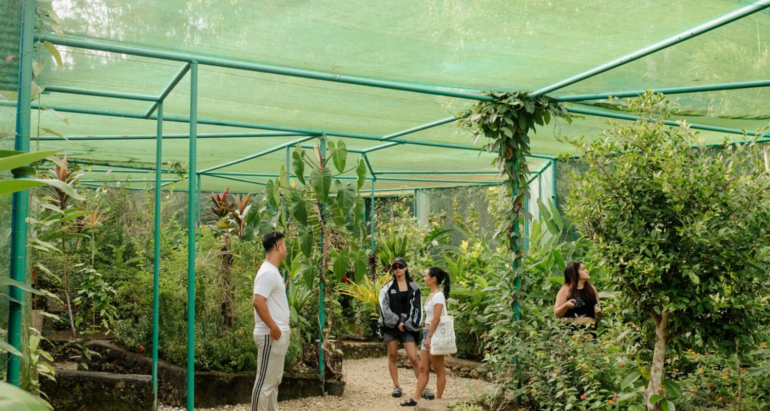 Explore Bohol and Siquijor 5-Day Adventure for 5 days with Abraham Tours Philippines and discover unforgettable experiences - Photo 2