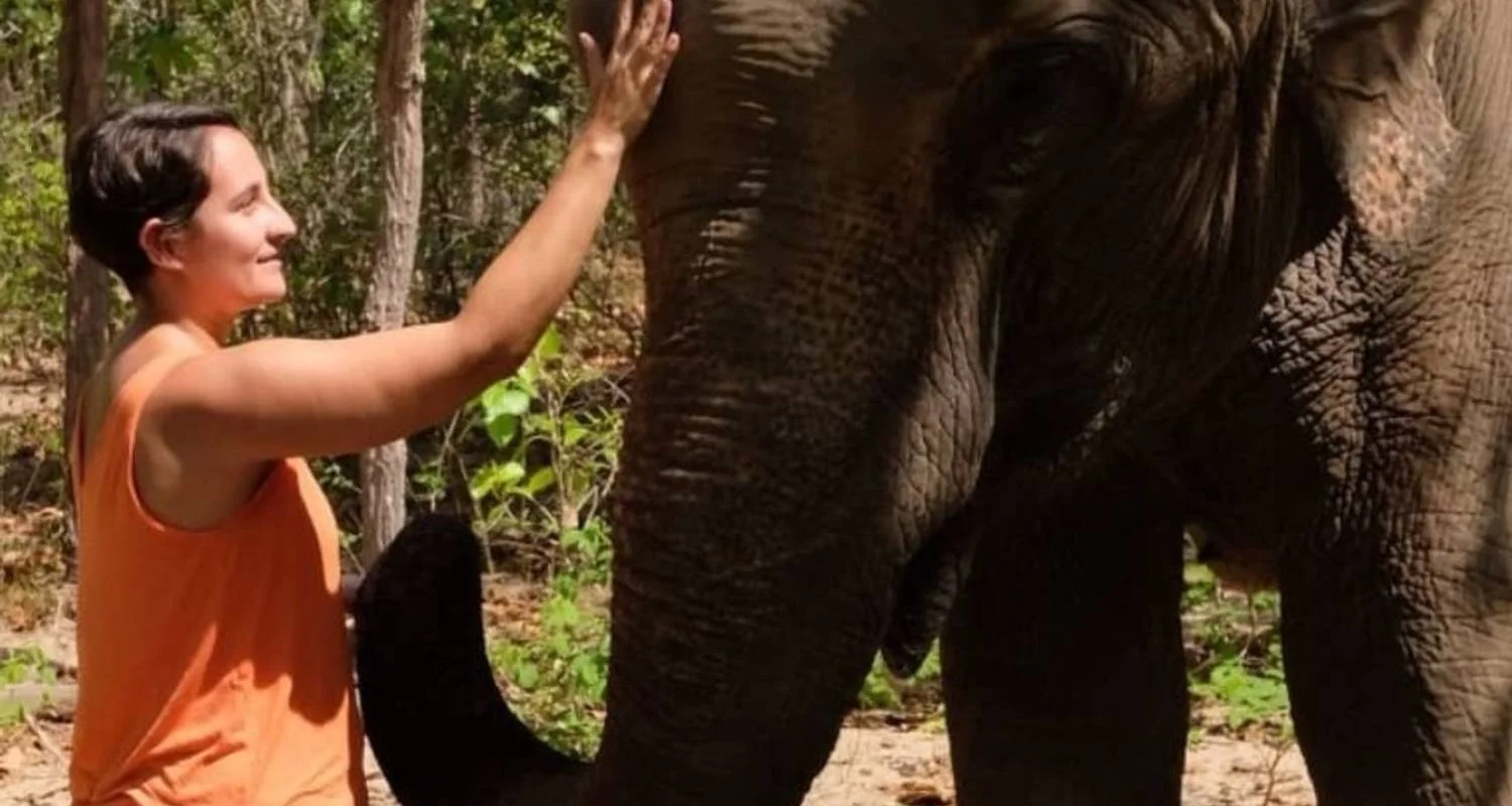 Explore Phnom Tamao Wildlife Center & Buddha Kiri Cambodia private Day Tour from Phnom Penh for 1 days with About Cambodia Travel & Tours and discover unforgettable experiences - Photo 2