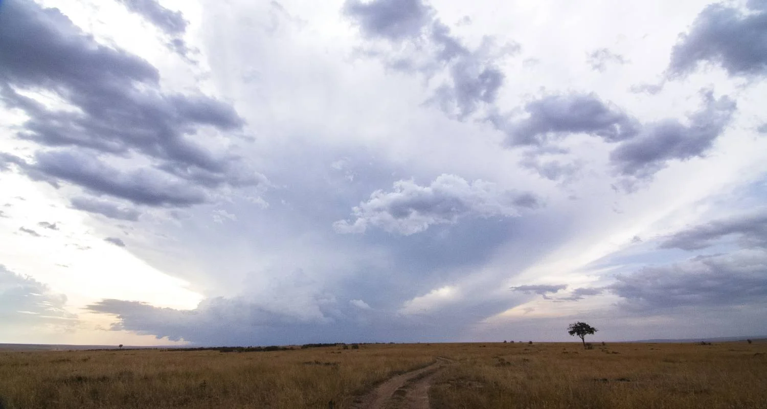 Explore The Gorilla Trek for 22 days with Absolute Africa and discover unforgettable experiences - Photo 2