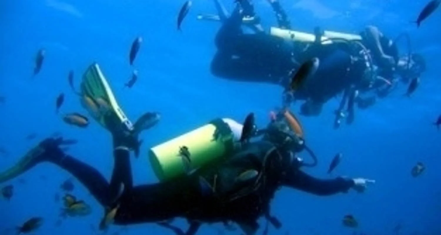 Explore Wildlife and Spice Island for 35 days with Absolute Africa and discover unforgettable experiences - Photo 2