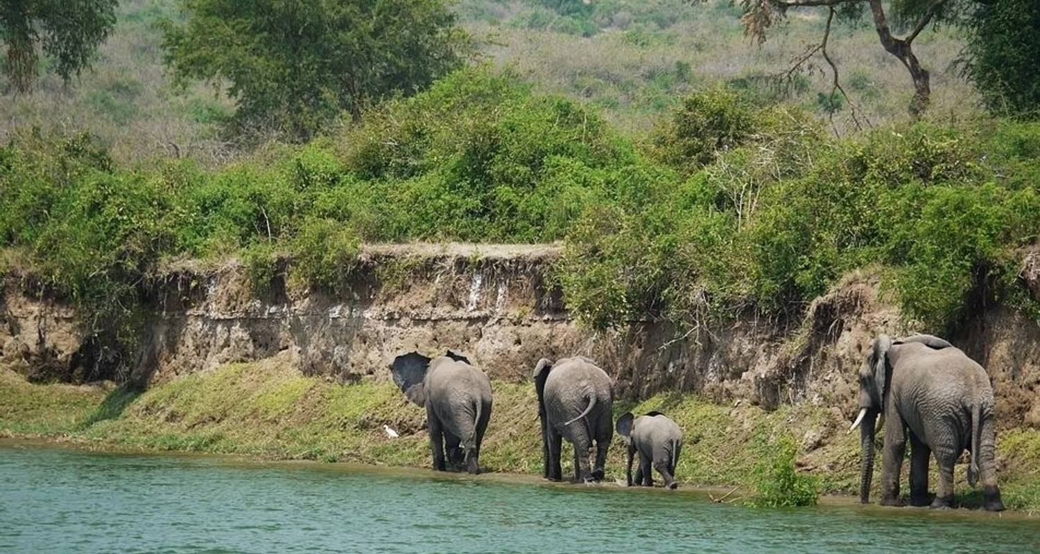 Explore Wildlife Wanderer for 60 days with Absolute Africa and discover unforgettable experiences - Photo 2