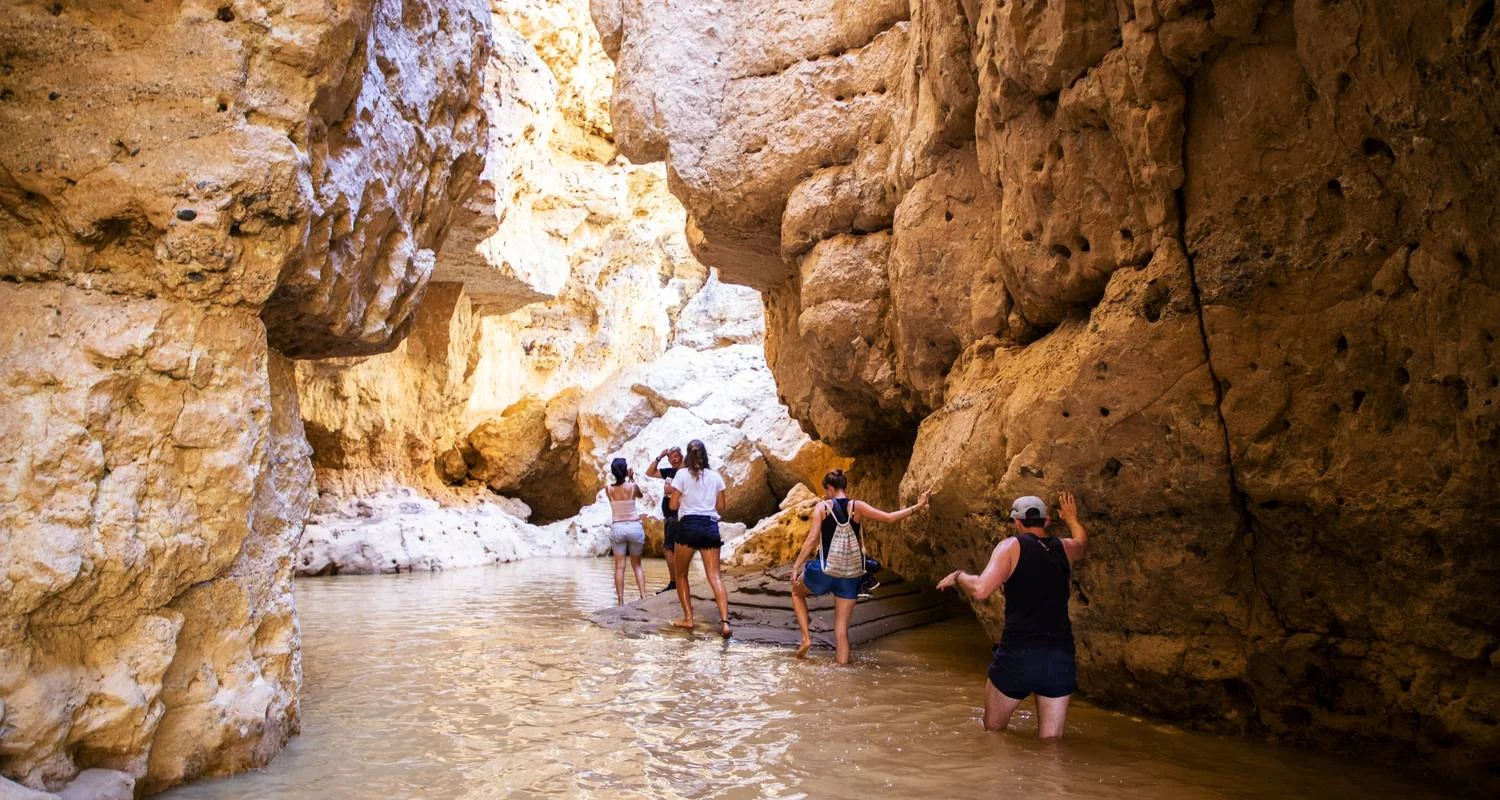 Explore The Absolute Safari for 77 days with Absolute Africa and discover unforgettable experiences - Photo 2