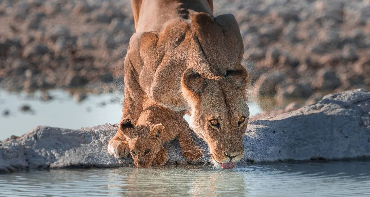 Explore Tusker Trails for 37 days with Absolute Africa and discover unforgettable experiences - Photo 2