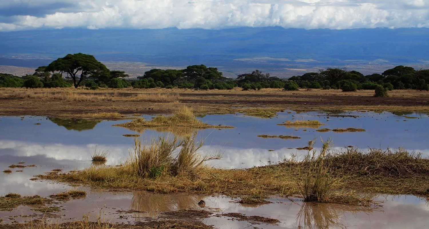 Explore A Week In Kenya for 9 days with Absolute Africa and discover unforgettable experiences - Photo 2