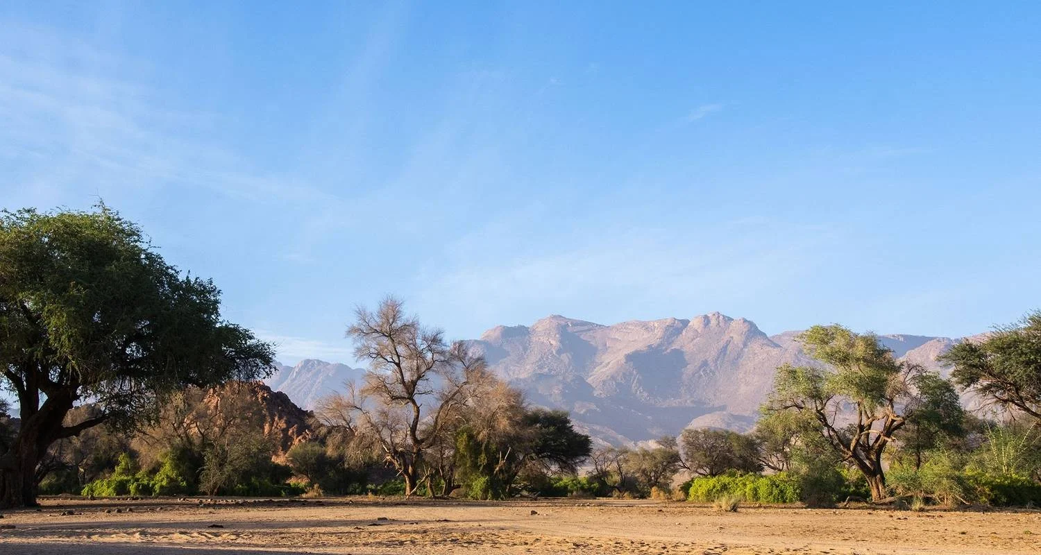 Explore Wild Dogs and Victoria Falls for 12 days with Absolute Africa and discover unforgettable experiences - Photo 2