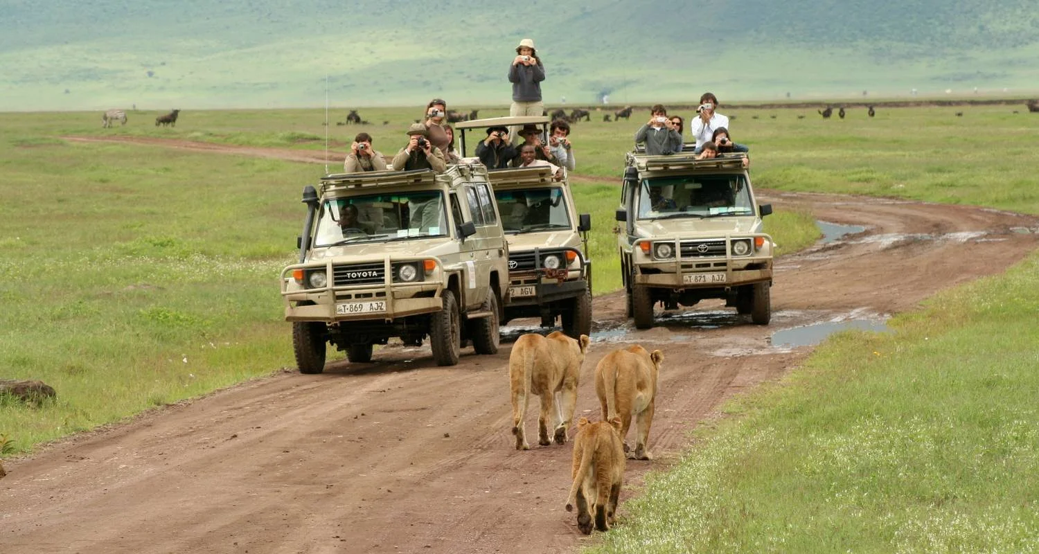 Explore Serengeti and Ngorongoro Crater for 5 days with Absolute Africa and discover unforgettable experiences - Photo 2