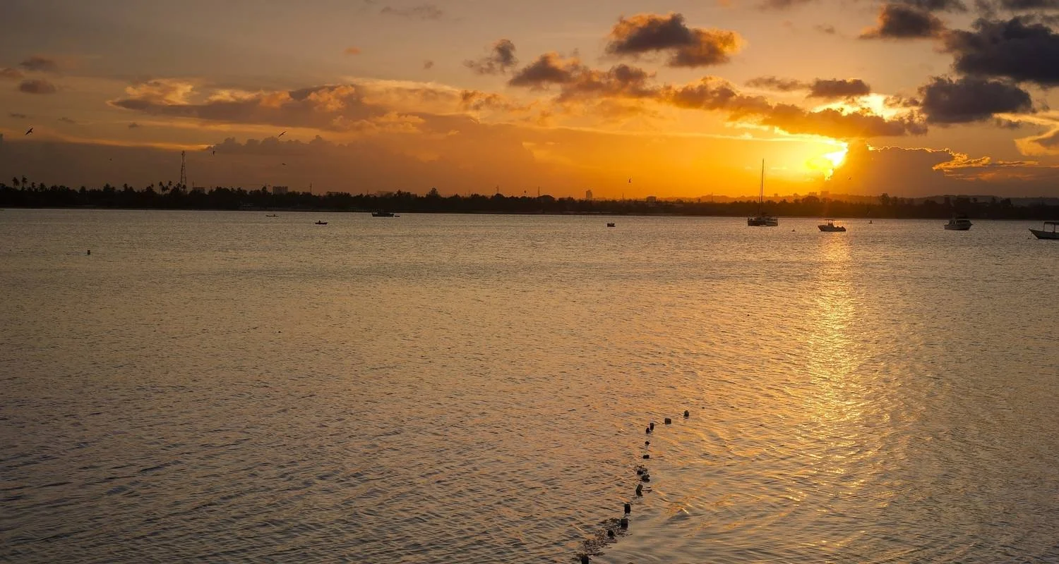 Explore Vic Falls to Dar Es Salaam for 11 days with Absolute Africa and discover unforgettable experiences - Photo 2