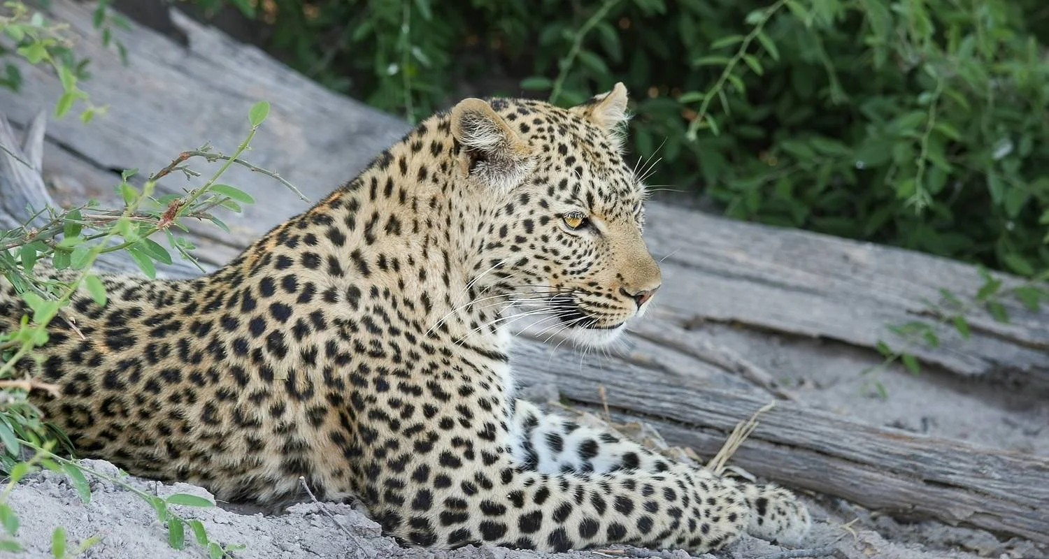 Explore 35-day Cape Town to Zanzibar (Camping) for 35 days with Acacia Adventure Holidays and discover unforgettable experiences - Photo 2