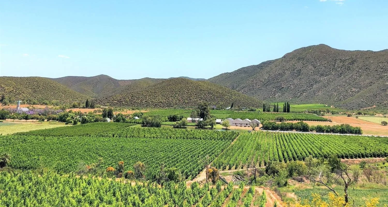 Explore 4-day Highlights of the Garden Route (Accommodated) for 4 days with Acacia Adventure Holidays and discover unforgettable experiences - Photo 2