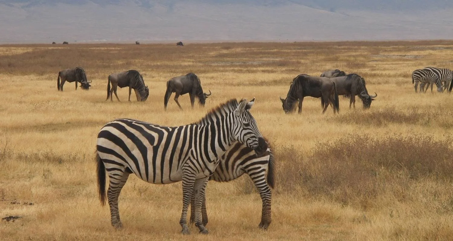 Explore 11-day Cape Town to Namibia (Accommodated) for 11 days with Acacia Adventure Holidays and discover unforgettable experiences - Photo 2